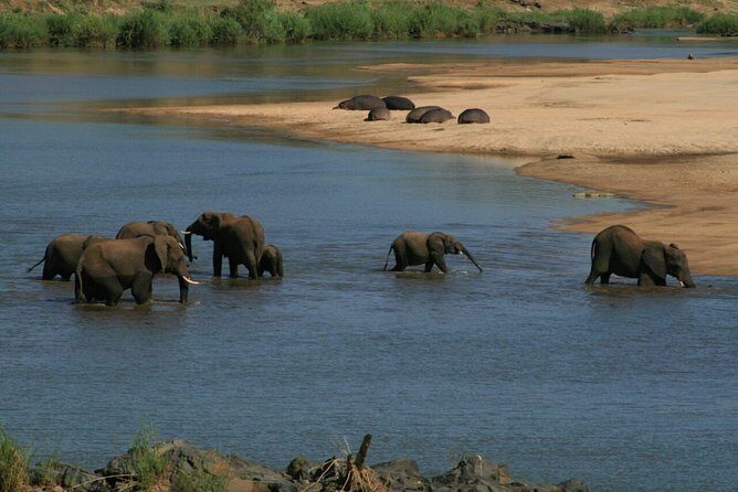 Fully inclusive Pilanesberg safari from Johannesburg - Practicalities and Tips for Travelers