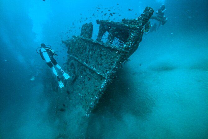 Fun Dives For Certified Divers - Who Would This Tour Suit Best?