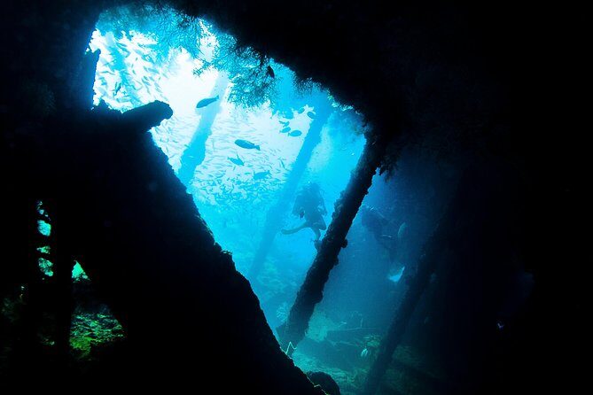 Fun Diving Tulamben Bali - For Certified Divers - What to Expect During the Day
