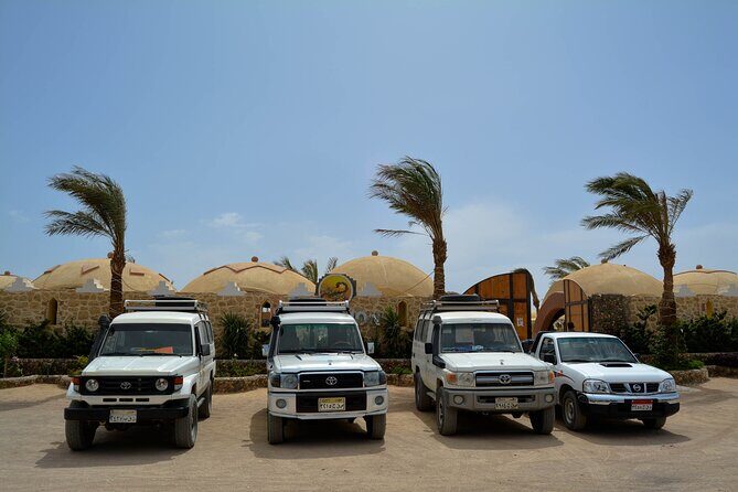 Fun Safari ATV, Buggy Car and Dinner, Show-Hurghada - Frequently Asked Questions