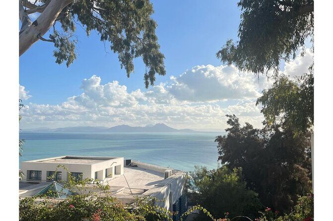 Fun VIP Tour: Tunis, Sidi Bou Said, Carthage | PICKUP ALL CITIES! - Authentic Experiences and Real Traveler Insights