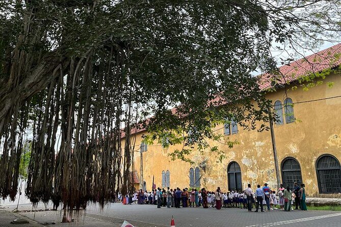 Galle and Bentota Day Tour From Colombo and Negombo - What Travelers Say