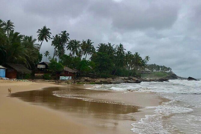 Galle Day Tour - A Closer Look at the Itinerary: What to Expect