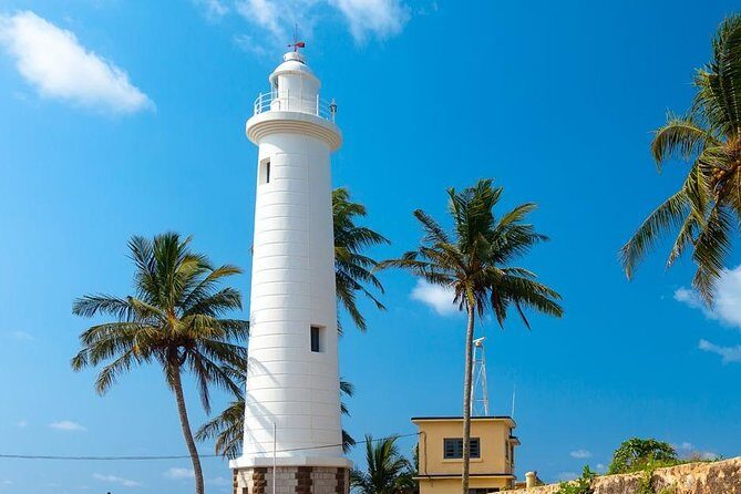 Galle day tour - Sea Turtle Conservation Project: Touching Nature’s Wonders