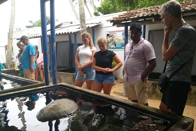 Galle sightseeing tour - Practical Details and What They Mean for You