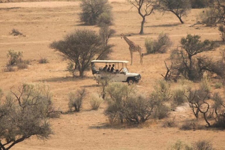 Game drive in Victoria Falls - The Bottom Line: Is It Worth It?