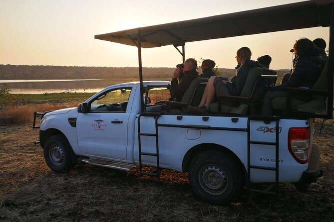 Game Drives - Authentic Experiences and Insights from Travelers