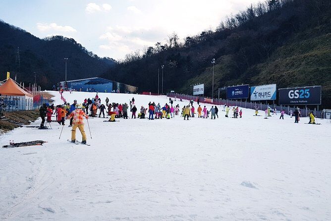 Gangchon Elysian Ski Day Trip from Seoul - What You Need to Know