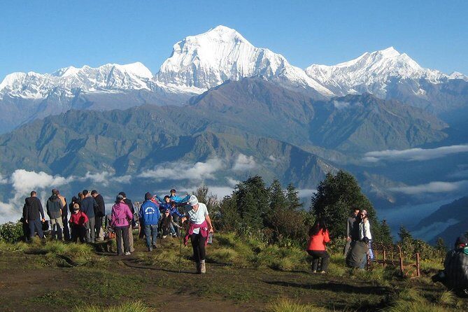 Ghorepani - Poon Hill Trek 3N-4D - Reviews and Real Experiences