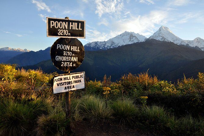 Ghorepani Poonhill Trek 5 Days from Pokhara - The Itinerary in Detail