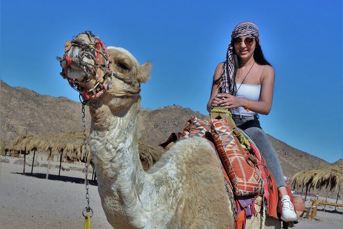 Giftun Island VIP Sea Trip Lunch on Bord and Transfer - Hurghada - What Makes This Tour a Great Value
