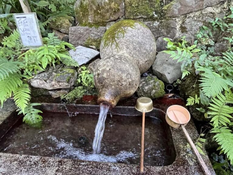 Gifu: Yrs Unforgettable Walkable Artwork - The Tour Options and Itinerary