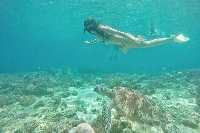 Gili island Snorkeling Half Day Trip departure from Gili Trawangan - What’s Included and What’s Not