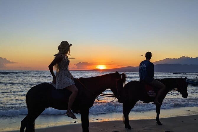 Gili Trawangan Beach Horseback Riding with Pickup Hotel - A Close Look at the Gili Trawangan Beach Horseback Riding Tour