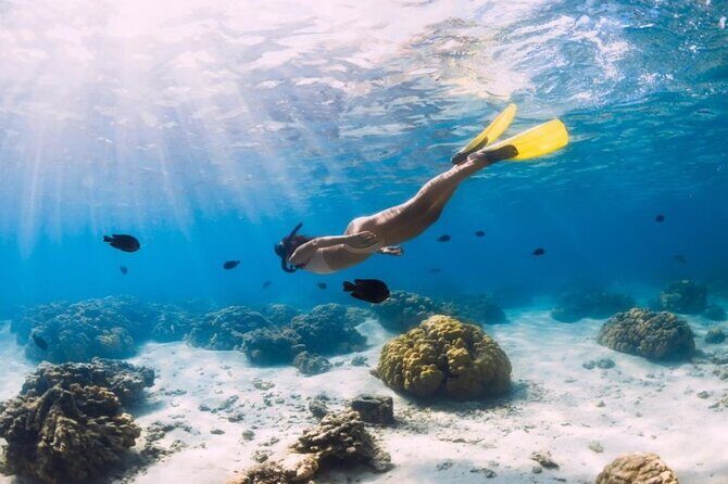 Gili Trawangan : Private Snorkeling with 3 spots or 4 spots - Authentic Experiences: Why This Tour Stands Out