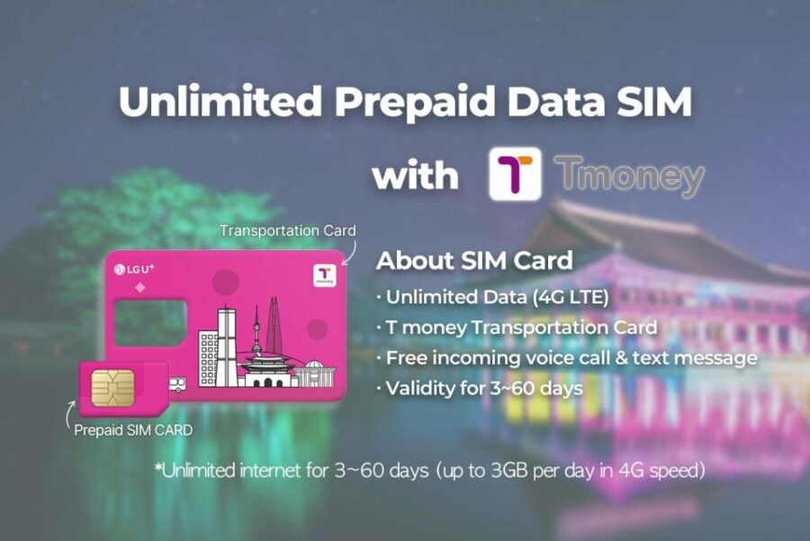 Gimpo Airport: Traveler SIM and T-money Transportation Card - The Itinerary and What to Expect