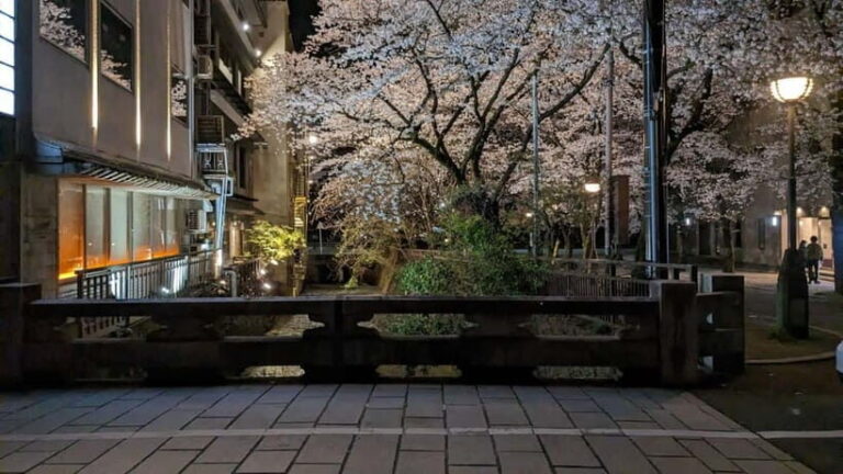 Gion Night Walk:Discover Geisha Culture in Kyoto - The Highlights of the Tour