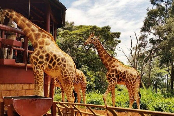 Giraffe center, Elephant Orphanage and Beads Center - Value and Cost Analysis