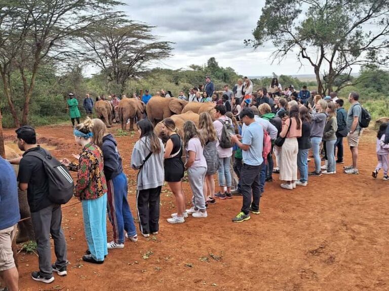 Giraffe Center, Karen Blixen & Elephant Orphanage Day Tour - Exploring the Giraffe Center