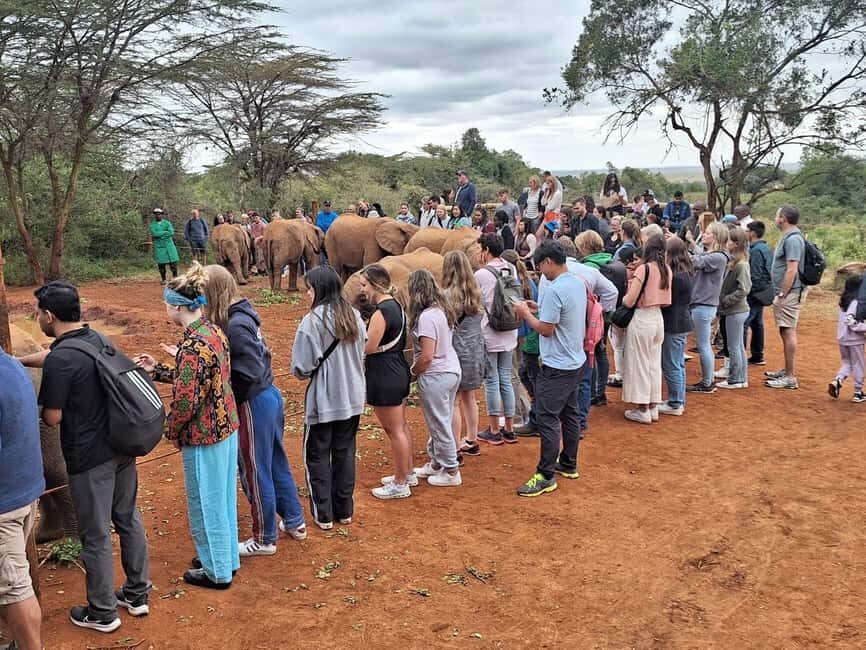 Giraffe Center, Karen Blixen & Elephant Orphanage Day Tour - Exploring the Giraffe Center