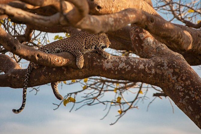 Giraffe center, stedmark animals haven & Nairobi Park Tour - The Sum Up
