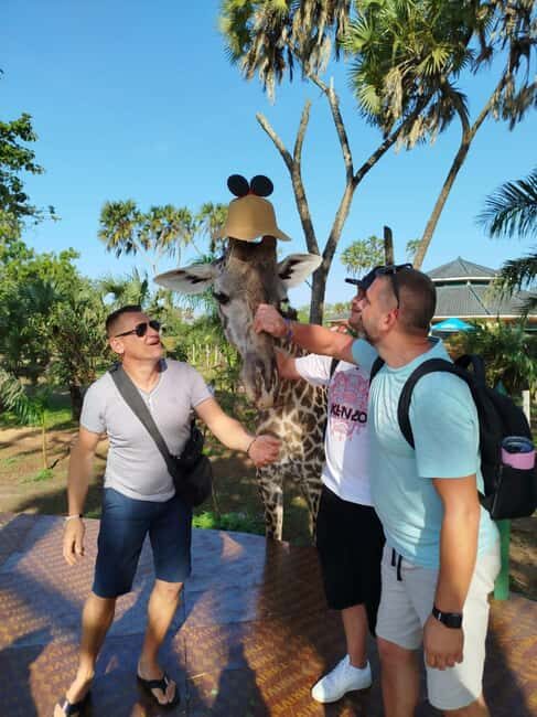 giraffe feeding - Who Will Love This Tour?