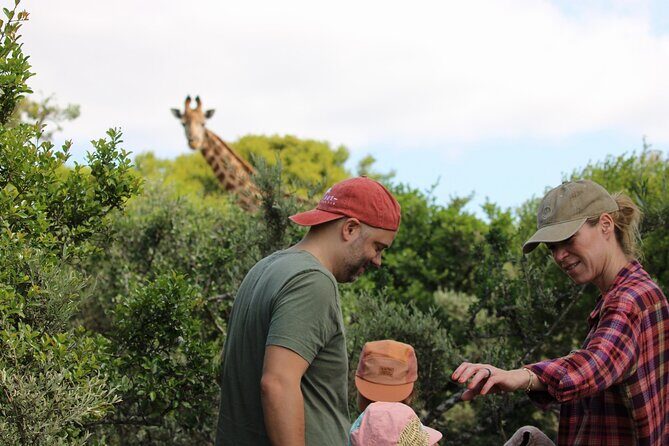 Giraffe Tracking 4x4 Safaris - The Itinerary in Detail