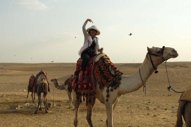 Giza pyramids and Egyptian museum Stopover tour - Why This Tour Offers Great Value