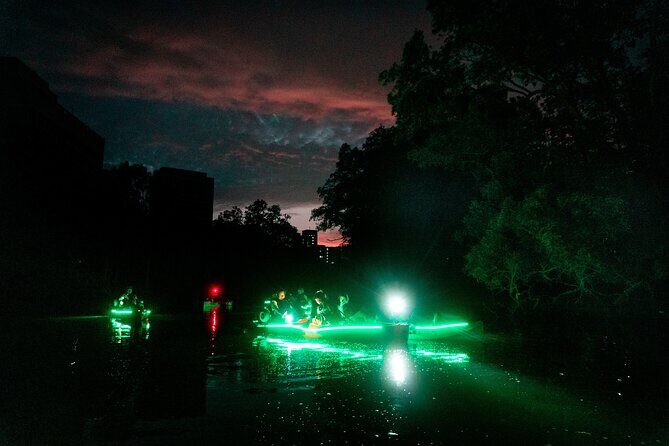 Glow Kayak Night Adventure in the Mangroves - What to Expect from the Experience