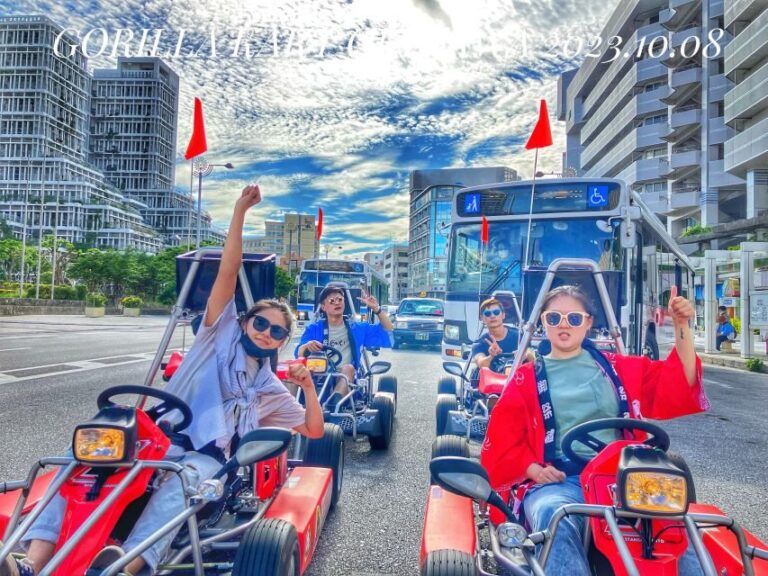Go-kart Tour In Naha by GORILLA KART OKINAWA - Who Will Love This Tour