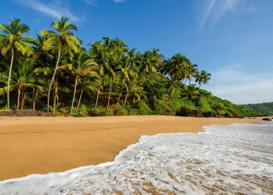 Goa: 5-Day Beaches, Forts, and Heritage Tour - Detailed Day-by-Day Breakdown