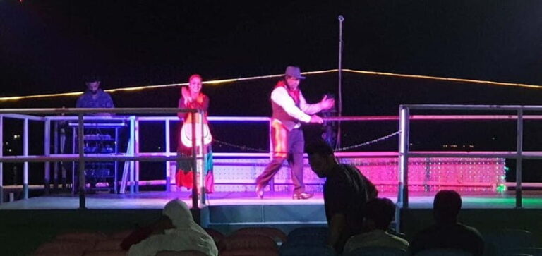 Goa: Dinner Cruise Party with Hotel Transfer Option - The Food and Drinks