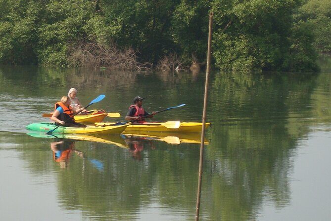 Goa Kayaking Spike's Salonia Backwaters Kayaking Experience - What the Tour Looks Like