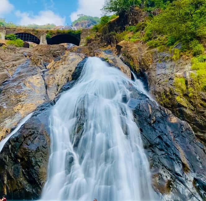 Goa: SIC Dudhsagar Waterfall and Spice Plantation Day Tour - The Experience: What You Can Expect