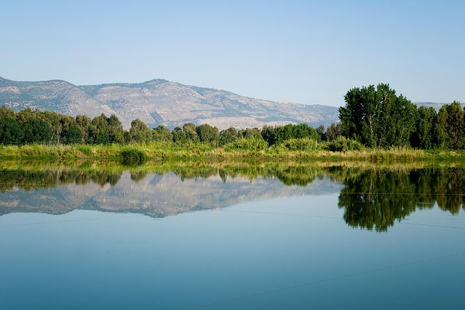 Golan Heights Day Trip from Tel Aviv - Exploring Katzrin: Ancient Village and Synagogue