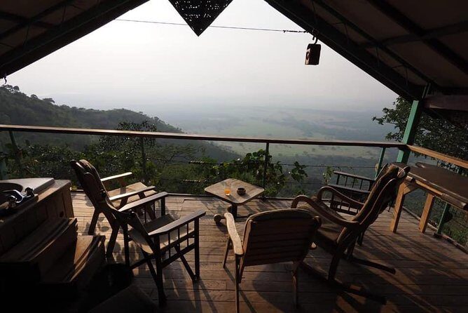 Gorilla and chimp experience holiday - The Sum Up: Is This Tour Worth It?