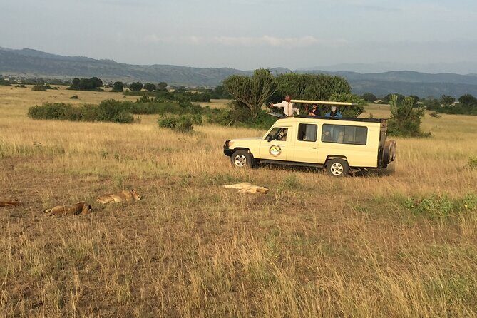 Gorilla & Chimpanzee Trekking in Uganda - 5 Days - The Practical Side: What to Expect