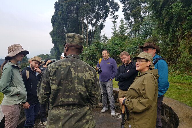 Gorilla Trekking Adventure - A Day trip (Only transfer) - The Value of this Experience