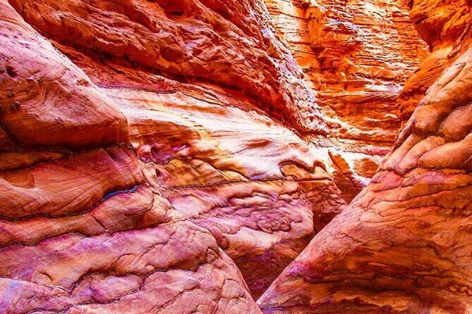 Grand Safari including Snorkeling at the Blue Hole and a Camel Ride along the Gulf of Aqaba - The Pros and Cons