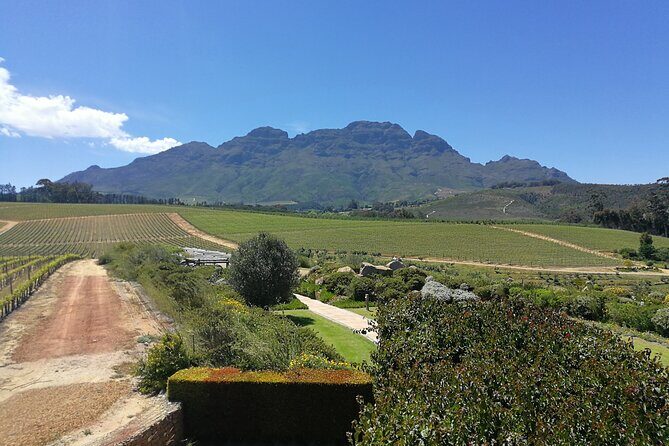 Greatest Wine Tour of the Cape Winelands - Neil Ellis Wines – Wines with a View