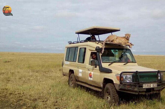 Group Safari 7 Days in Tanzania's Main Parks - Transportation, Accommodation, and Comfort