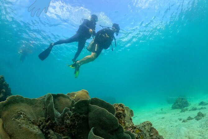 [GROUP] SCUBA DIVING For Beginners in Phu Quoc Island (TRY DIVE) - Why Travelers Love This Tour