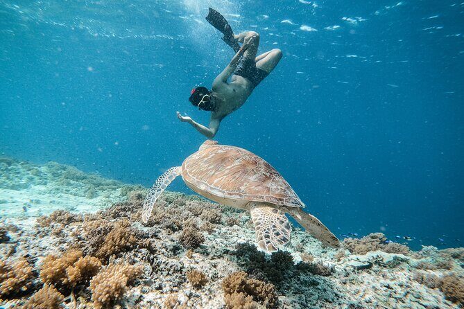 Group Snorkeling Tour Gili Islands Including GoPro Documentation - What’s Included and What’s Not