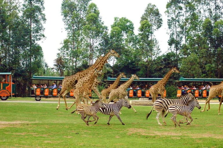 Guangzhou: Adventure, Culture & Cuisine 5-Day Trip - Exploring the Itinerary in Detail