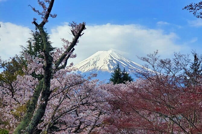 Guided 3 Days Tour Tokyo, Mt. Fuji and Hakone GREEN NUMBER PLATE - Who Should Consider This Tour?