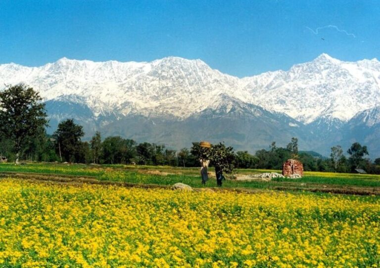 Guided Day Hike to Guna Devi Temple from Mcleodganj - Who Will Love This Trek?
