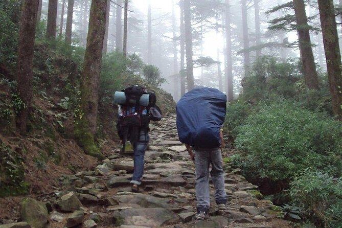 Guided Day Hike to Guna Devi Temple from Mcleodganj - What Makes This Tour Stand Out?