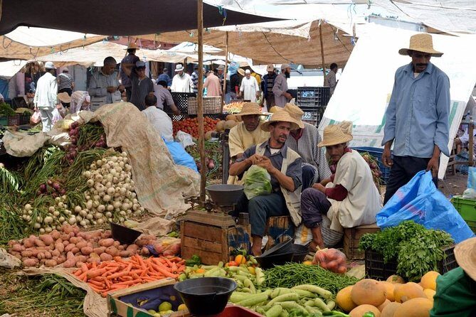 Guided Day Trip to Weekly Market at Atlas Mountains from Marrakech - Who Will Appreciate This Tour?