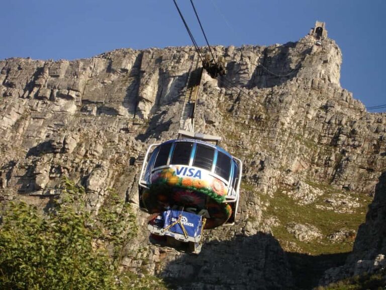 Guided Forest Hike Tour on Table Mountain, Cape Town - Price, Value, and Practical Considerations