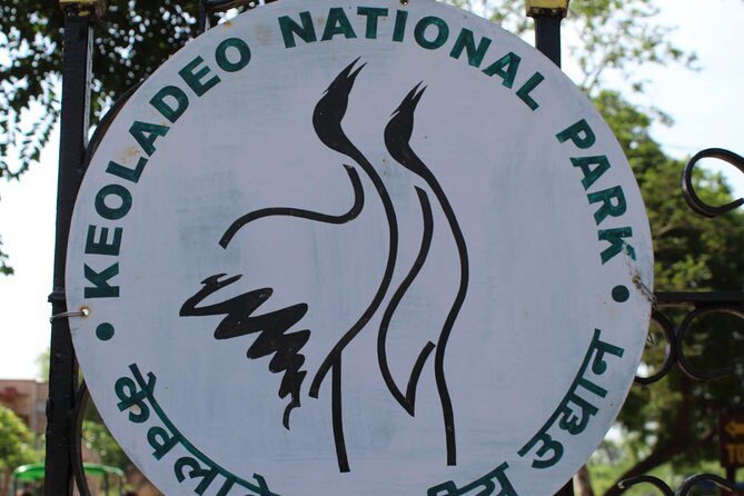 Guided Keoladeo Bird National Park Tour in Bharatpur from Jaipur - Authentic Experiences and Traveler Insights